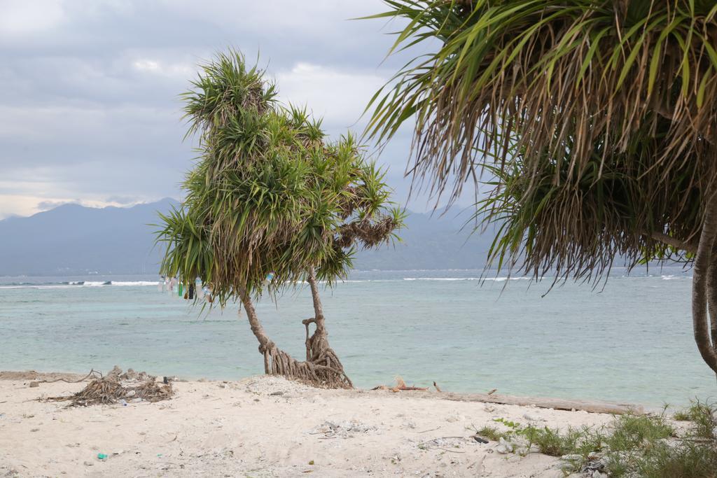 Villas Edenia - Luxe Villas With Private Pools Gili Trawangan Exterior photo